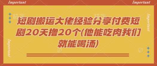 短剧搬运大佬经验分享付费短剧20天撸20个(他能吃肉我们就能喝汤)-L-G网创