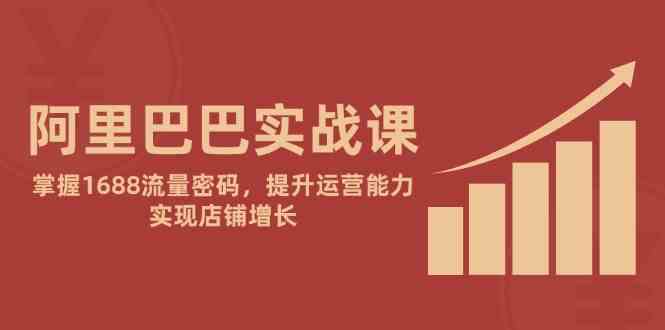 阿里巴巴实战课：掌握1688流量密码，提升运营能力，实现店铺增长-L-G网创